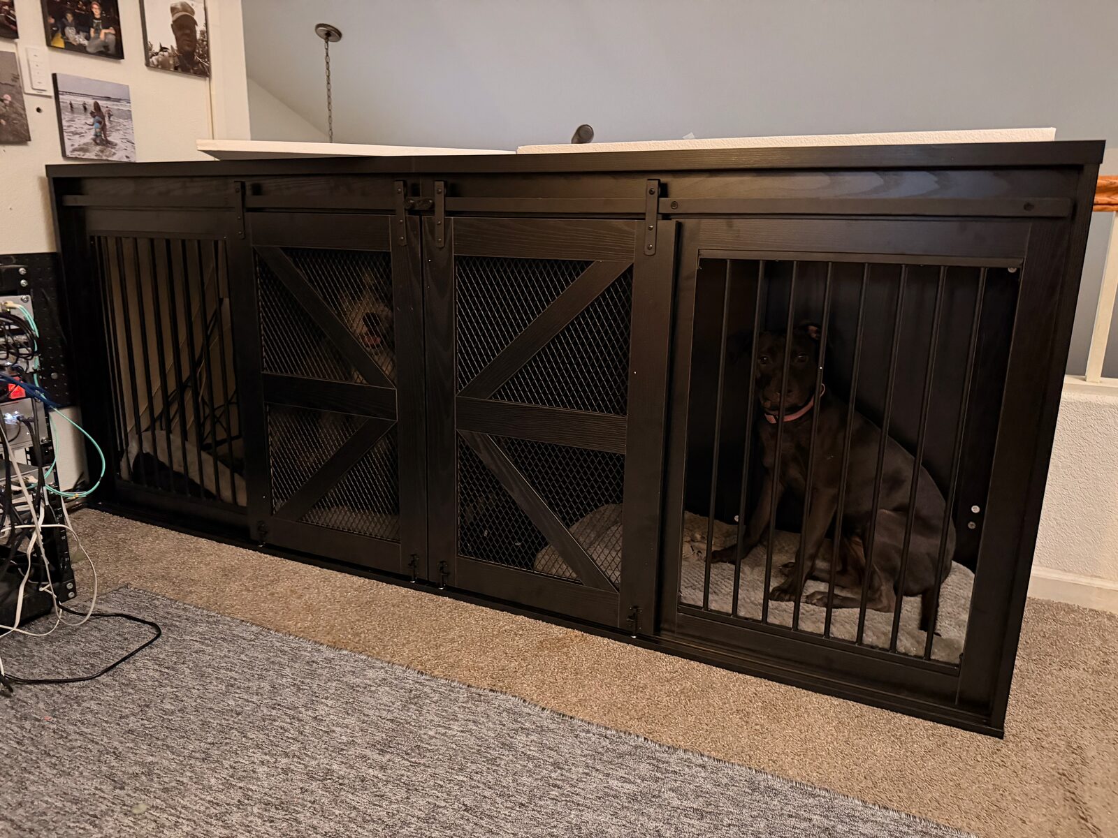 Cole and Jack building a duplex dog kennel ahead of the Norway v England World Cup match